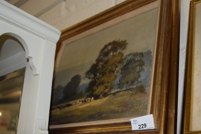 Lot 229 - D Rose study of a pasture scene, oil on board,...