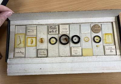 Lot 589 - A collection of various microscope slides in...