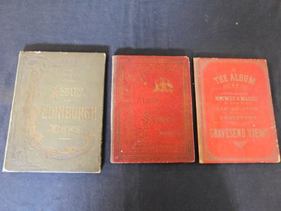 Lot 355 - Three albums of fold out views circa 1900 for...