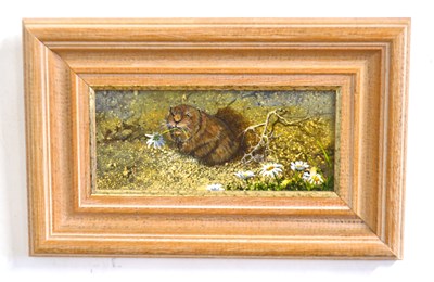 Lot 70 - David Feather (British, b.1952), A Bank Vole,...