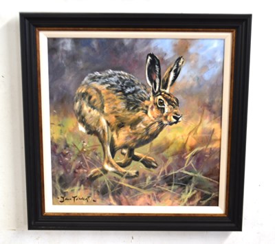 Lot 90 - John Trickett (British, b.1952), A hare in...