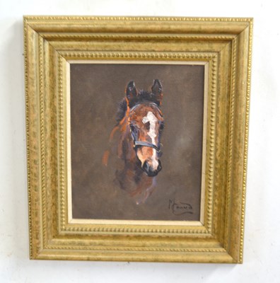 Lot 84 - Malcolm Coward (British, b.1948), Horse's head...