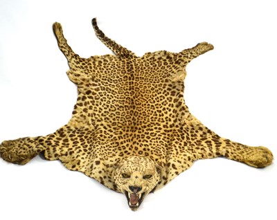 Lot 172 - 20th Century taxidermy leopard skin rug and...