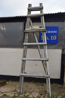Lot 103 - Set of timber step ladders