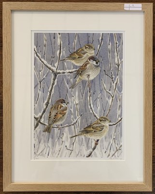 Lot 9 - Stephen Message (British, b.1968), Sparrows...