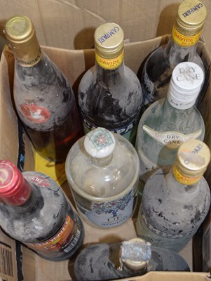 Lot 305 - Mixed lot: to include Campari, Dry Cane Light...