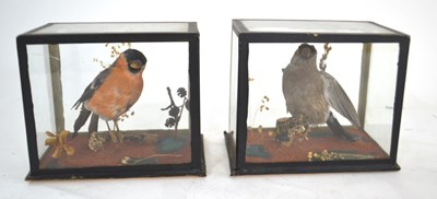 Lot 219 - Two small taxidermy cases of male and female...