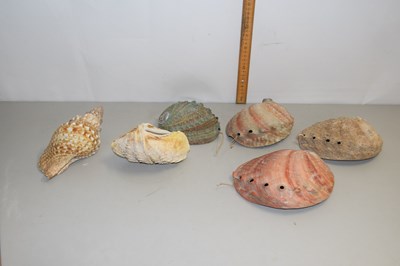 Lot 185 - Box of various sea shells