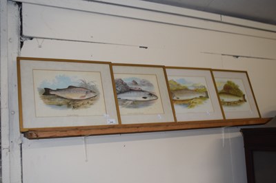 Lot 235 - Set of four coloured prints, a trout and salmon