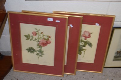 Lot 262 - Three botanical prints, studies of roses,...