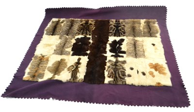 Lot 287 - Taxidermy: Rare Domestic Cat Skin Coaching Rug...