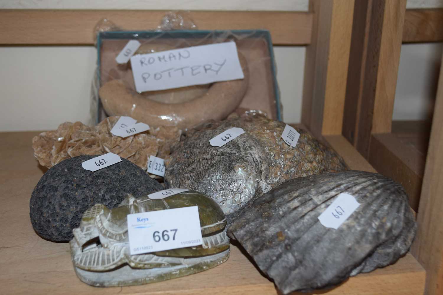 Lot 667 - Collection of shells and fossils, reproduction...