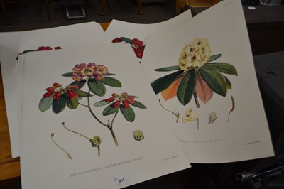 Lot 834 - Quantity of floral study reproduction prints