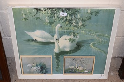 Lot 270 - Three coloured prints of swans after Vernon Ward