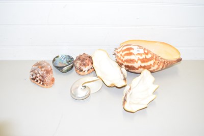 Lot 153 - COLLECTION OF VARIOUS SEASHELLS
