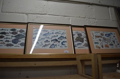 Lot 536 - Four Natural History prints