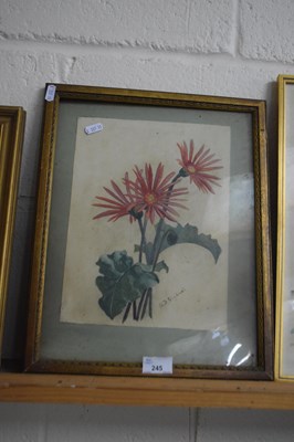 Lot 245 - Floral study by R J Gladwell, framed and glazed