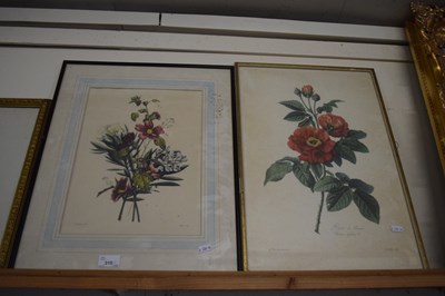 Lot 315 - Pair of botanical prints