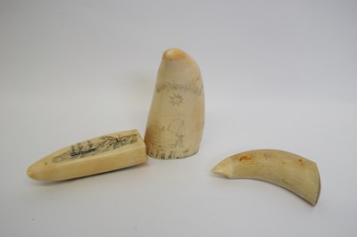Lot 8 - Number of scrimshaw tusks, decorated with...