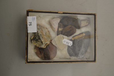 Lot 75 - A small case of various fossils and mineral...