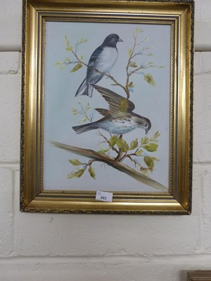 Lot 263 - Bruce, study of two birds, oil on canvas