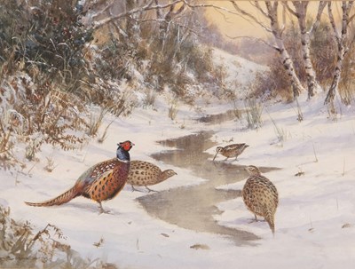 Lot 26 - Colin W. Burns (British, b.1944), Pheasants...