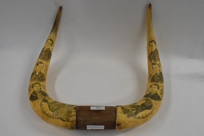 Lot 333 - Scrimshaw animal horn decorated with portraits...