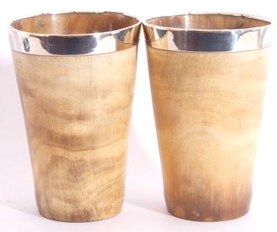 Lot 28 - Pair of Victorian horn beakers of tapering...