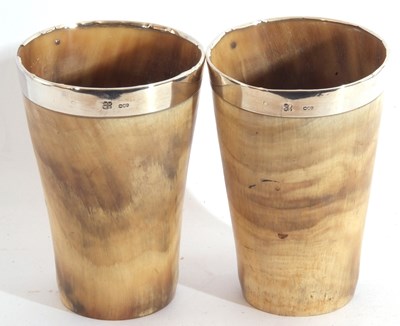 Lot 28 - Pair of Victorian horn beakers of tapering...