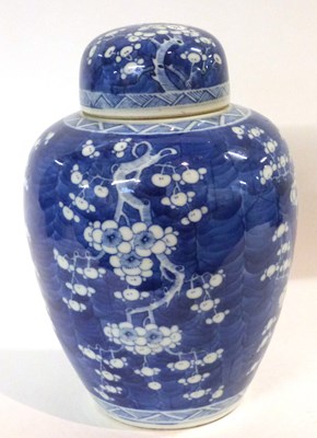 Lot 289 - A Chinese porcelain ginger jar and cover, 19th...