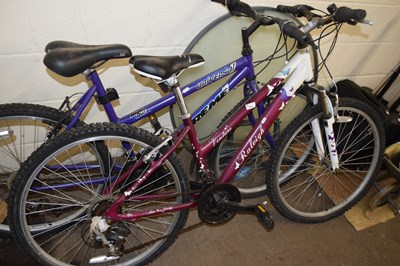 Lot 954 - A ladies Raleigh Venture mountain bike...