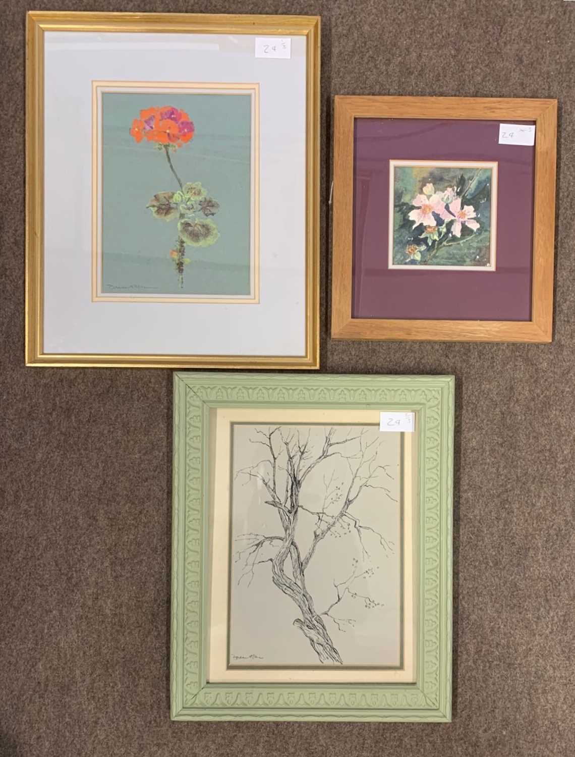 Lot 24 - Doreen Allen - floral w/c, pen & ink tree &...