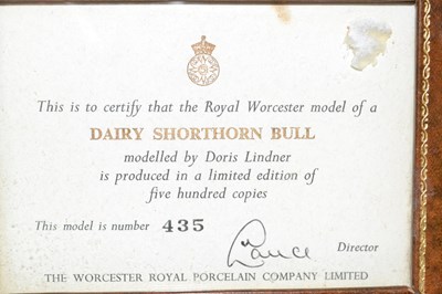 Lot 431 - A Royal Worcester model of a dairy shorthorn...