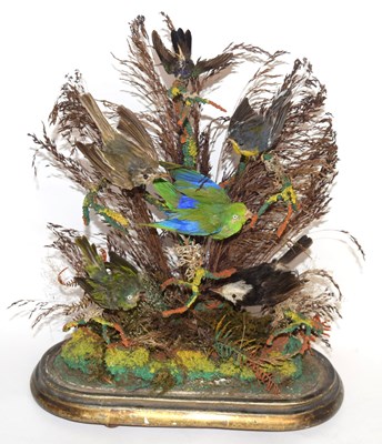 Lot 2 - Victorian taxidermy diorama of 6 birds of...