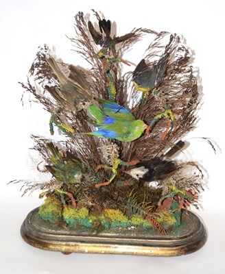 Lot 2 - Victorian taxidermy diorama of 6 birds of...