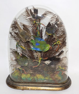 Lot 2 - Victorian taxidermy diorama of 6 birds of...