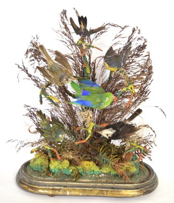 Lot 2 - Victorian taxidermy diorama of 6 birds of...