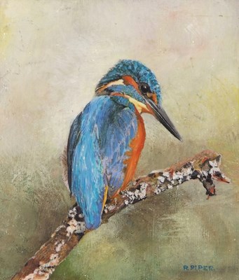 Lot 222 - Oil on board of Kingfisher by Roger Piper,...