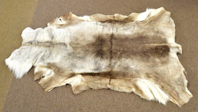 Lot 41 - Reindeer skin rug