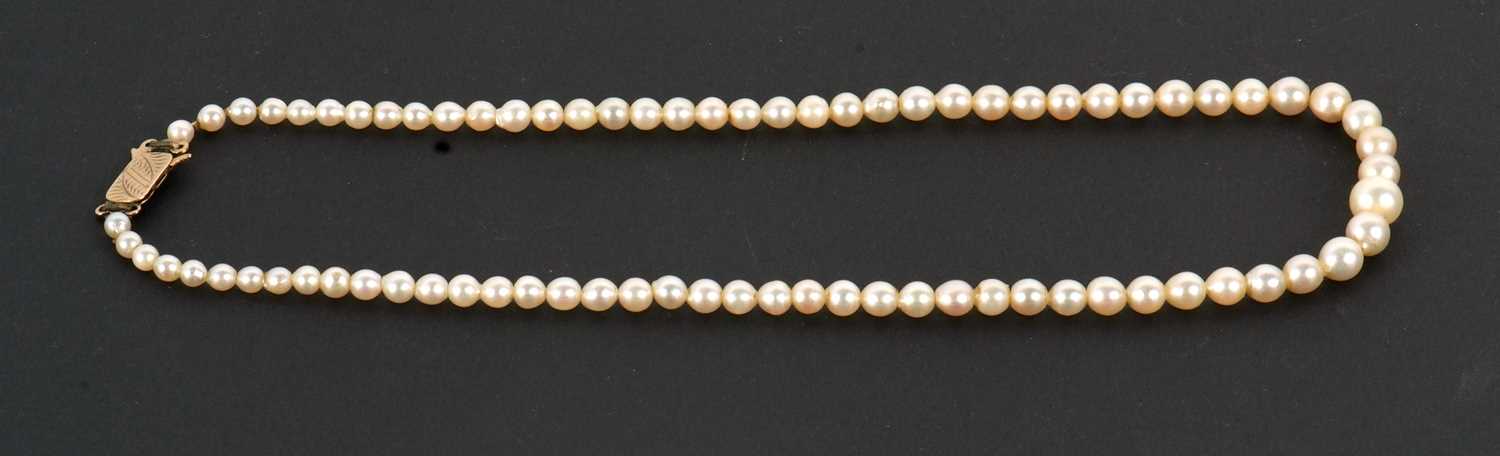 Lot 213 - A cultured pearl necklace, the graduated