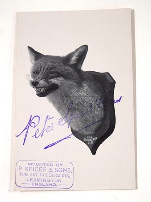 Lot 102 - Taxidermy interest - Two Peter Spicer of...