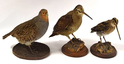 Lot 75 - Three modern Taxidermy game birds to include...