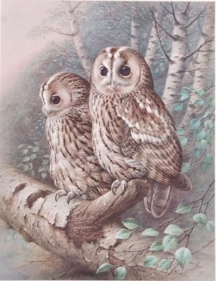 Lot 184 - Raymond Watson (British, b.1935), Tawny Owls,...