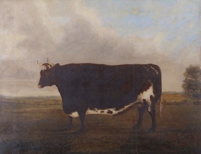 Lot 543 - British School, 19th century, Steer study, oil...