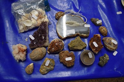 Lot 210 - Mixed Lot: Various assorted mineral samples