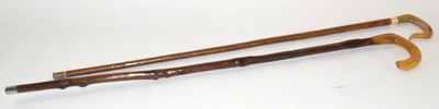 Lot 29 - Two shepherds crooks/ walking sticks /...