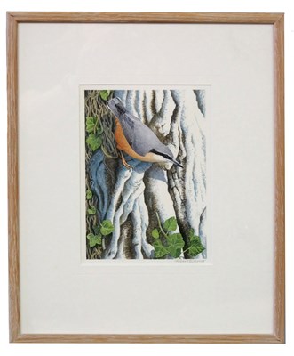 Lot 10 - Robert Gillmor (1936-2022), "Nuthatch",...