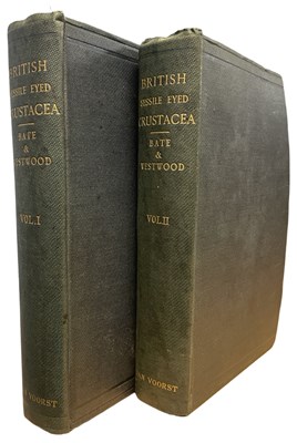 Lot 393 - C SPENCE BATE AND J O WESTWOOD: A HISTORY OF...