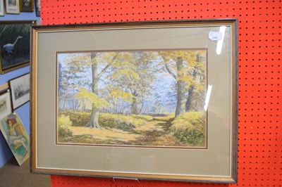 Lot 314 - Mary Slater, dated '82, pastel, 'Autumn sun in...