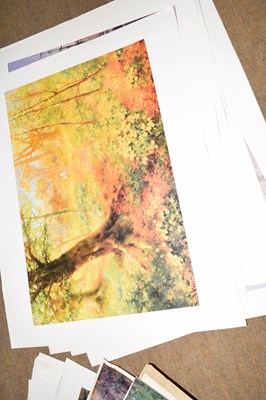 Lot 329 - Large folder of assorted modern prints